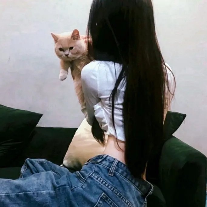 狼的诱惑 封面